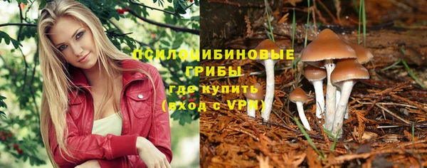 кокс Алзамай