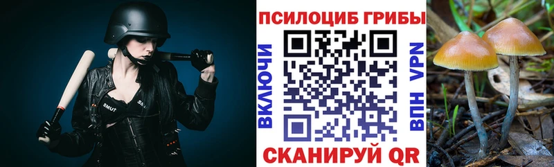 купить закладку Льгов Псилоцибиновые грибы прущие грибы